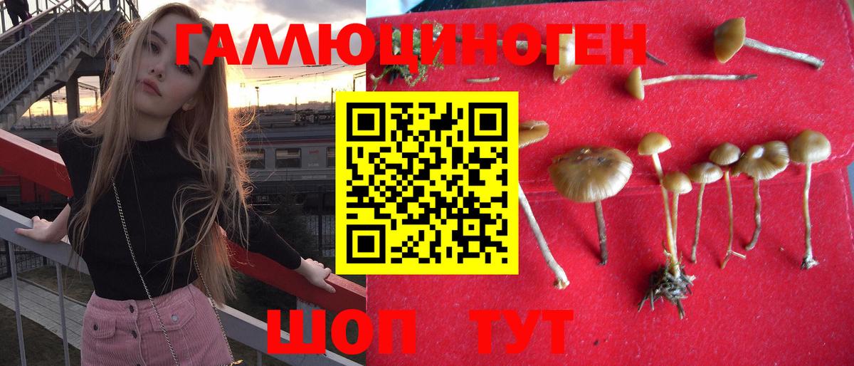 Псилоцибиновые грибы мицелий Муравленко